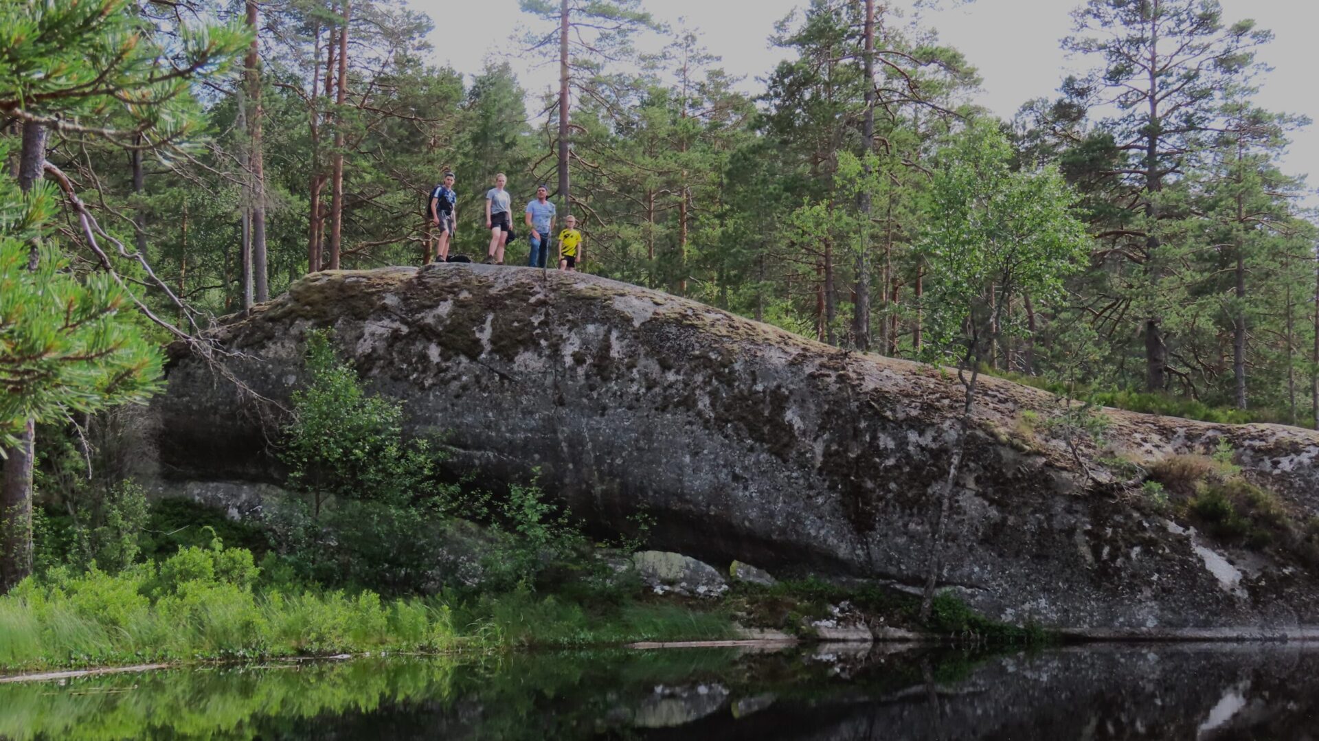 De mooiste nationale parken van zweden